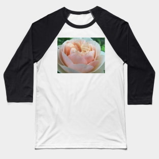 Pink Rose Baseball T-Shirt